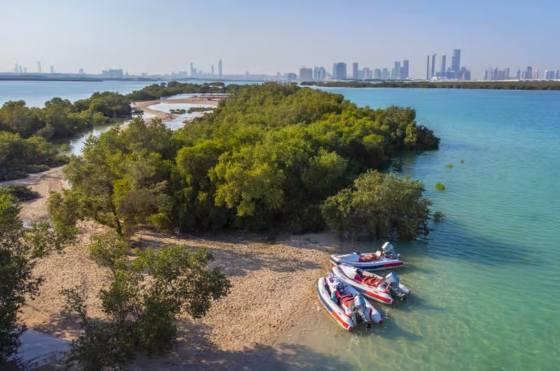 Aerial view of a mangrove island off Abu Dhabi